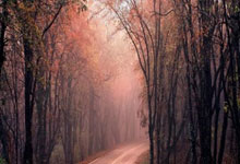 期待逆袭！欧洲预赛冠军争夺激燃进行