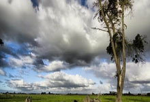 梅斯战胜斯特拉斯堡，提升排名