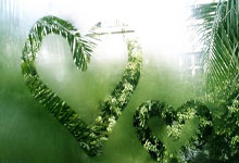 火爆对决即将上演，欧洲国家队赛事精彩纷呈